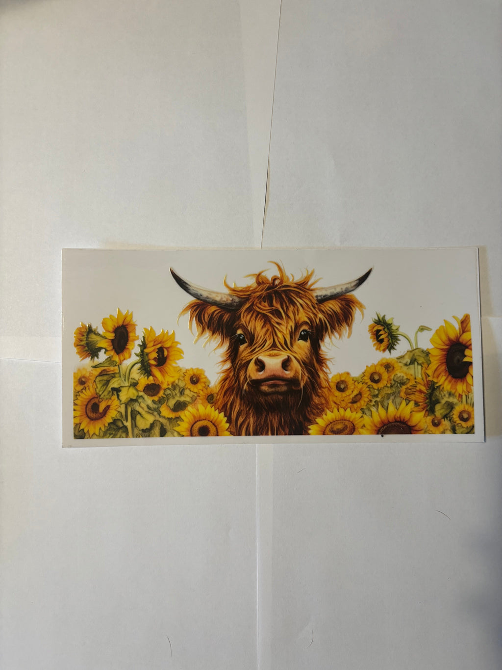 SUNFLOWER HIGHLAND COW - WRAP