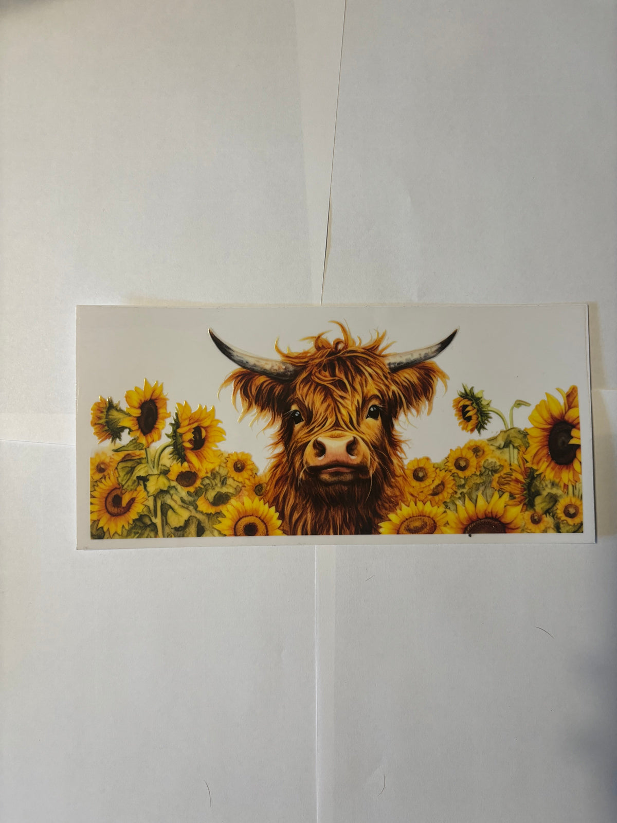 SUNFLOWER HIGHLAND COW - WRAP